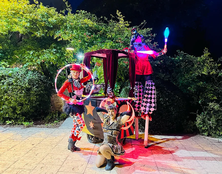 prestation artistique en Occitanie , jonglerie lumineuse LED